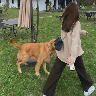帝女花粤语